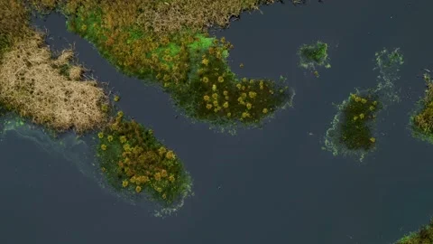 Drone rotating over small forest lake 4K Stock Footage 237375274