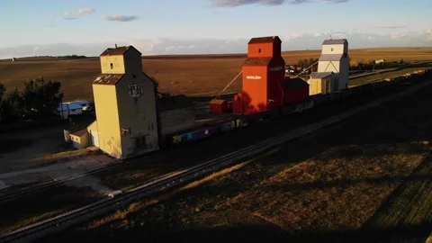 Drone rotating shot of three Grain Elevators surrounded by wheat fields in Video stock 171581229