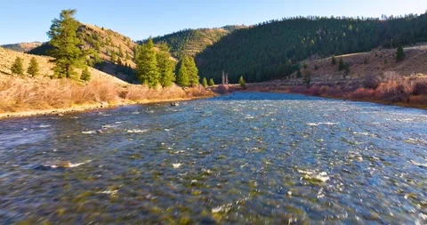 Drone Salmon River with Forest Backdrop Idaho Stock Footage 289744298