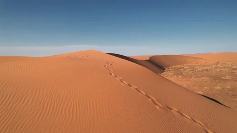 Drone Scene Of Dune Ridge In Gobi Desert Mongolia Видео 332679128