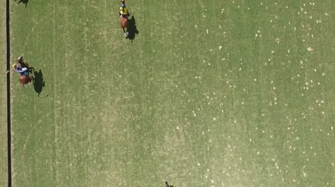 Drone scene of a Polo Match. Vídeo Stock 59802451
