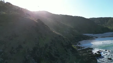 Drone Sea eagle in flight  Stock Footage 230119461