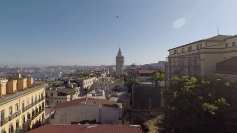 Drone seagull attack Stock Footage 196975471