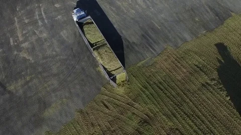 Drone semi dumping silage feed Stock Footage 82547229