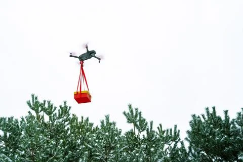 Drone sends a gift box to the customer by flying over the forest. Stock Photos