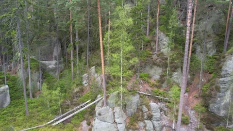 The drone shoot around its axis among towering trees and rugged cliffs Stock Footage 272761223