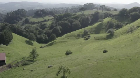 Drone shoot of fields in northern Spain Stock Footage 278323006