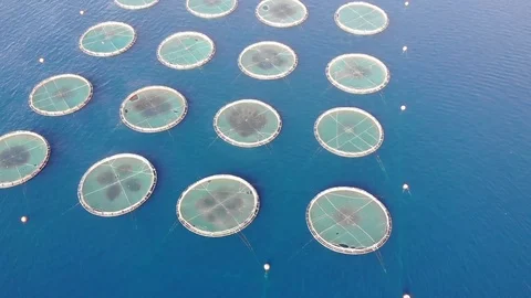 Drone Shoot Of Fish Pond installed At Sea Stock Footage 119497775