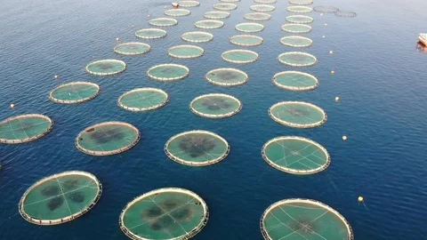 Drone Shoot Of Fish Pond installed At Sea Stock Footage 119497889