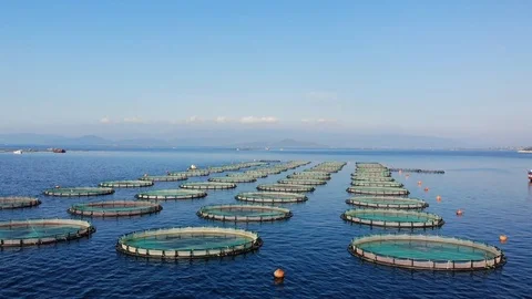 Drone Shoot Of Fish Pond installed At Sea Stock Footage 119497978