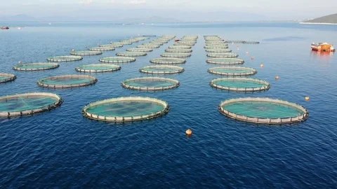 Drone Shoot Of Fish Pond installed At Sea Stock Footage 119498213