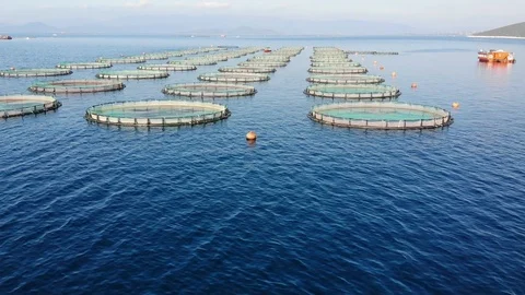 Drone Shoot Of Fish Pond installed At Sea Stock Footage 119498240