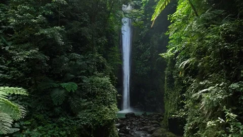Drone shoot. Waterfall hidden in tropical rainforest jungle Stock Footage 245310447