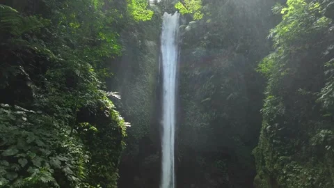 Drone shoot. Waterfall hidden in tropical rainforest jungle Stock Footage 245893672