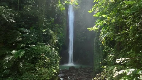 Drone shoot. Waterfall hidden in tropical rainforest jungle Stock Footage 246646705