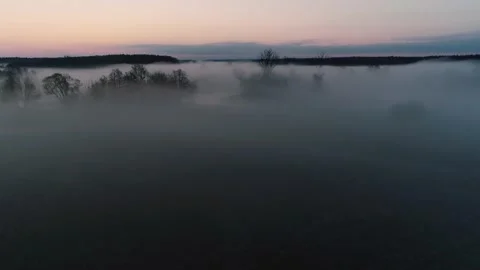 Drone shoot of wild natural river Drweca in Poland Stock Footage 237748207