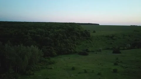 Drone shooting evening flight between forest and field Video stock 132646632