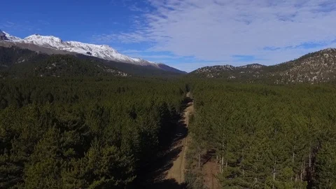 Drone shooting forest fly, Turkey Stock Footage 108437539