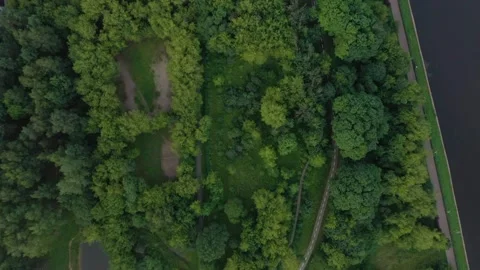Drone shooting of a green area with high-rise buildings and river in summer Stock Footage 168580375