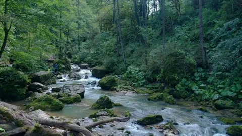 Drone shooting mountain river and trees people stand near the river, trekking Stock Footage 162025567