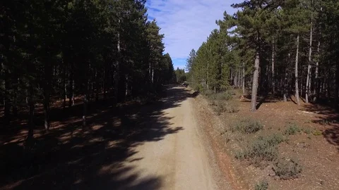 Drone shooting road in the forest Stock Footage 108437134