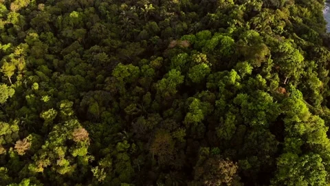 Drone shooting at sunset of Antonio Manuel National Park. Costa Rica Stock Footage 232310047