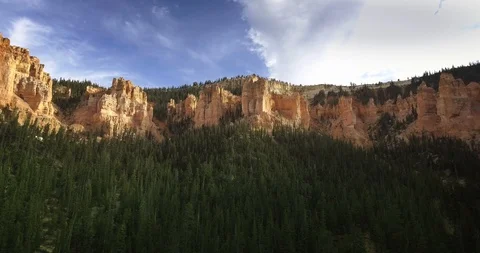 Drone shoots a bottom view video of a canyon and pine forest on a sunny day Video stock 118643683