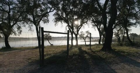 Drone Shoots Stock Footage 162836575