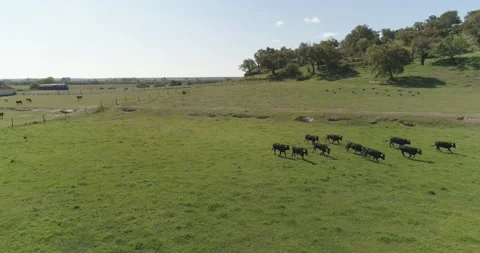 Drone Shoots Stock Footage 162837306