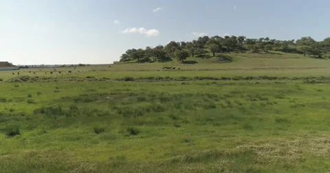 Drone Shoots Stock Footage 162837853