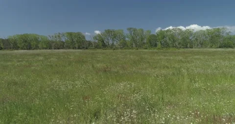 Drone Shoots Stock Footage 162894717