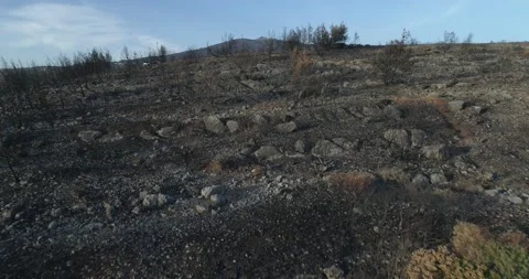 Drone Shoots Stock Footage 162904387