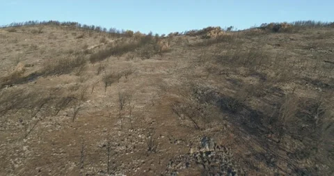 Drone Shoots Stock-Footage 162905063