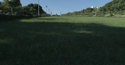 Drone Shoots Stock Footage 162963951