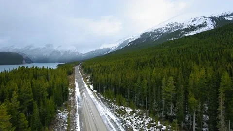 Drone shoots a road through the spring forest in the mountains near Spray Lakes Video stock 137508823