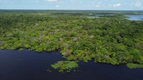 Drone shot above Amazon forest and Negro river, Brazil 4K Stock Footage 156053354