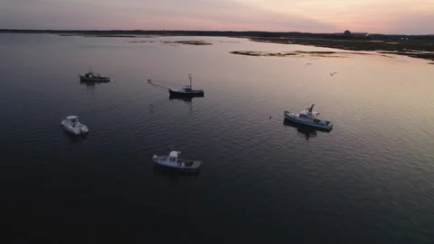 Drone Shot Above River at Sunset, Approaching Swamp with Boats and Birds in Fl Video stock 289851215