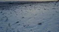 Drone shot aerial deep flight snowy frozen farmland winter landscape 4k or 4k+ Resolution