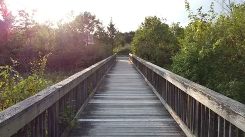 Drone Shot Aerial Fly Across Wooded Bridge Stock Footage