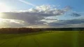 Drone shot aerial fly over rapeseed farmland at sunny day with clouds 4k or 4k+ Resolution