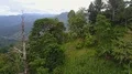 Drone shot aerial forest fly through in jungle mountains of beautiful Indonesia 4k or 4k+ Resolution