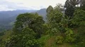 Drone shot aerial forest fly through in jungle mountains of beautiful Indonesia 4k or 4k+ Resolution