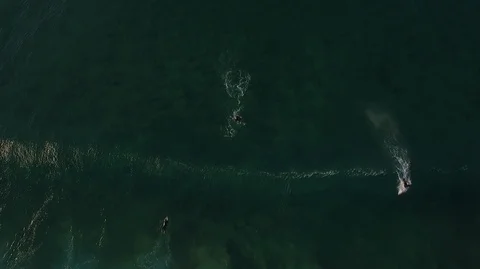 Drone Shot- Aerial Looking Down At Surfer Catching Wave Video stock 94108476