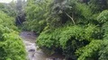 Drone shot aerial pan waterfall stream in tropic palm tree rainforest Bali 4k 4k or 4k+ Resolution