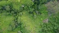 Drone shot aerial top view graveyard in jungle mountain landscape 4k or 4k+ Resolution