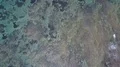 Drone shot aerial top view flyover low tide sea water waves coastline reef Bali 4k or 4k+ Resolution