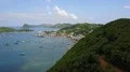 Drone shot aerial tropic beach and forest mountain in front of village harbor 4k or 4k+ Resolution