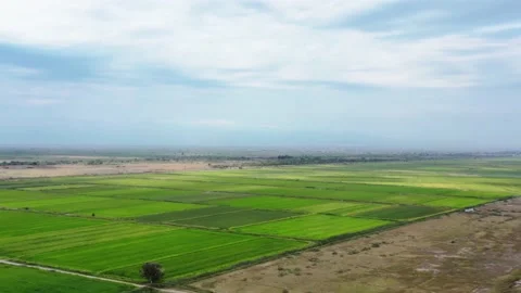 Drone shot of agriculture fields. Video stock 160147589