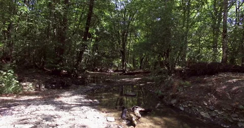 Drone Shot along the river in the forest. Stock Footage 67669757