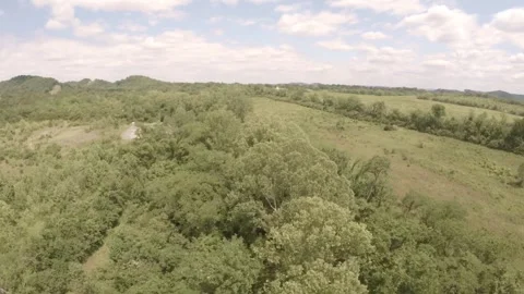 Drone Shot Along Tree Line 스톡 동영상 243292322